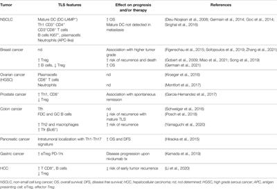 Stromal and Immune Cell Dynamics in Tumor Associated Tertiary Lymphoid Structures and Anti-Tumor Immune Responses